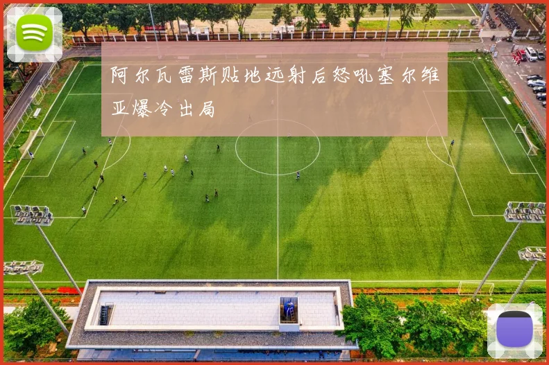 阿尔瓦雷斯贴地远射后怒吼塞尔维亚爆冷出局