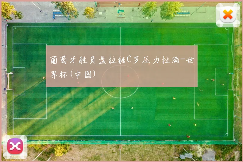 葡萄牙胜负盘拉锯C罗压力拉满-世界杯(中国)