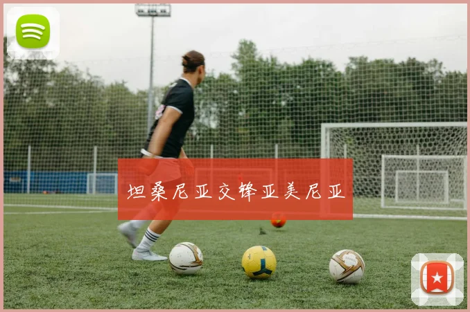坦桑尼亚交锋亚美尼亚