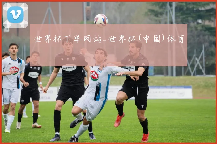 世界杯下单网站_世界杯(中国)体育