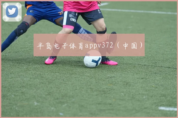 半岛电子体育appv372（中国）