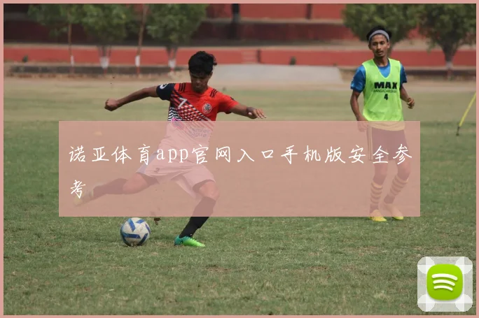 诺亚体育app官网入口手机版安全参考
