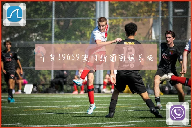 干货!9659澳门新葡萄娱乐场