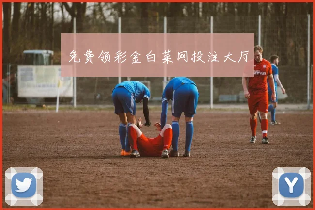 免费领彩金白菜网投注大厅