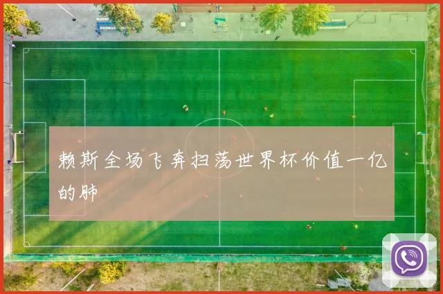 赖斯全场飞奔扫荡世界杯价值一亿的肺
