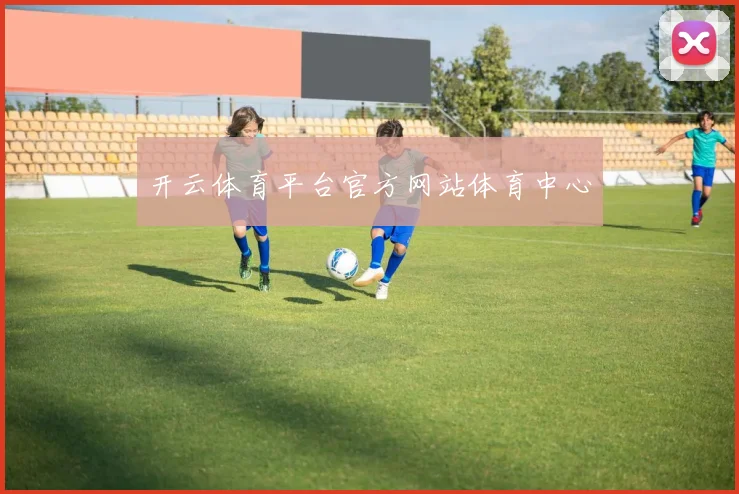 开云体育平台官方网站体育中心