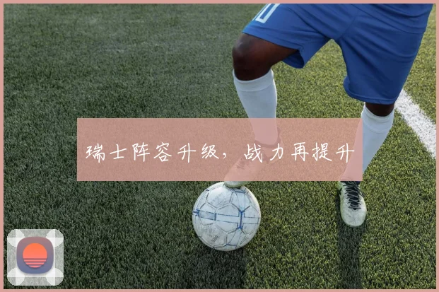 瑞士阵容升级，战力再提升