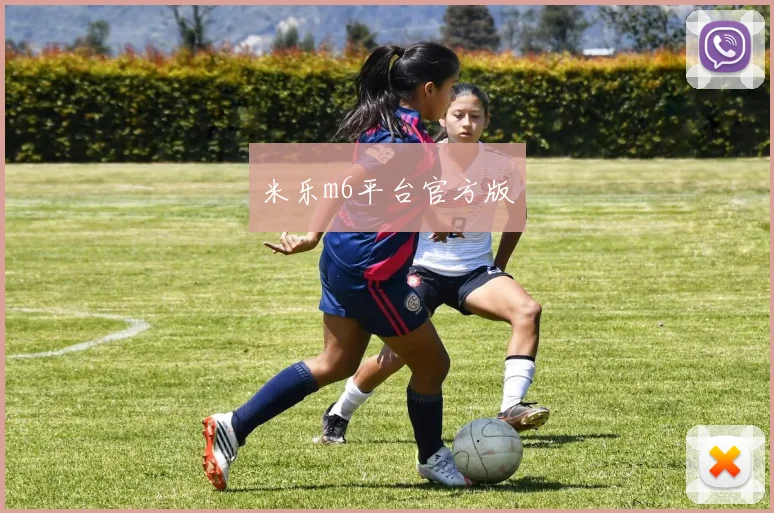 米乐m6平台官方版