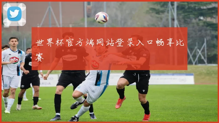 世界杯官方端网站登录入口畅享比赛