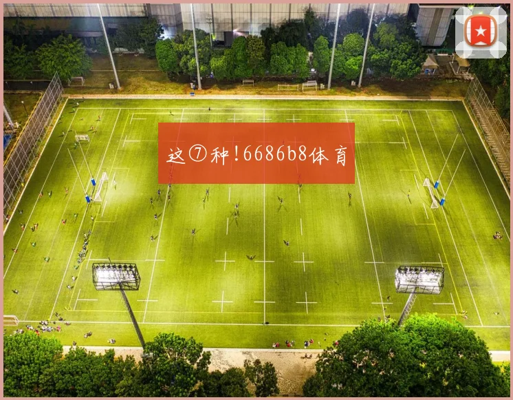 这⑦种!6686b8体育