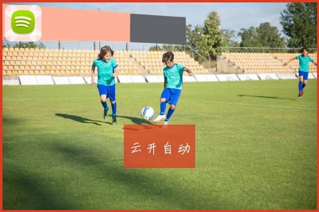 云开自动