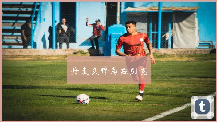 丹麦交锋乌兹别克