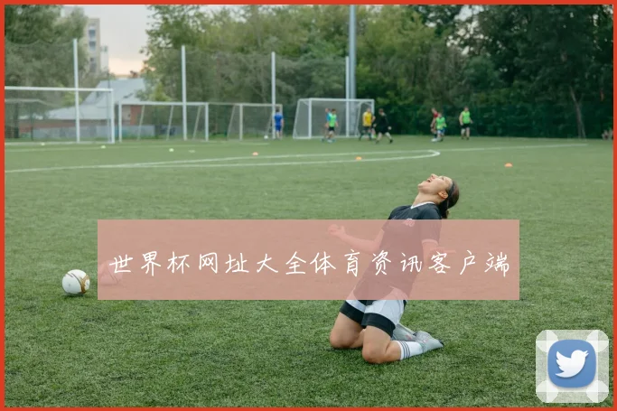 世界杯网址大全体育资讯客户端