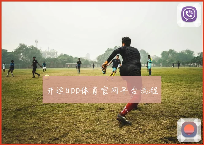 开运app体育官网平台流程