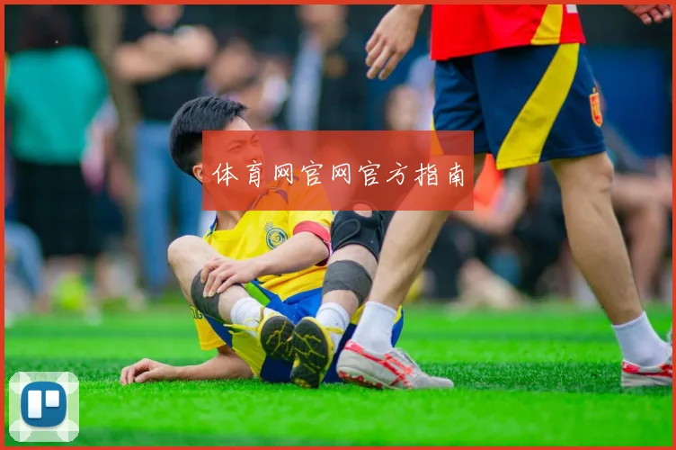 体育网官网官方指南