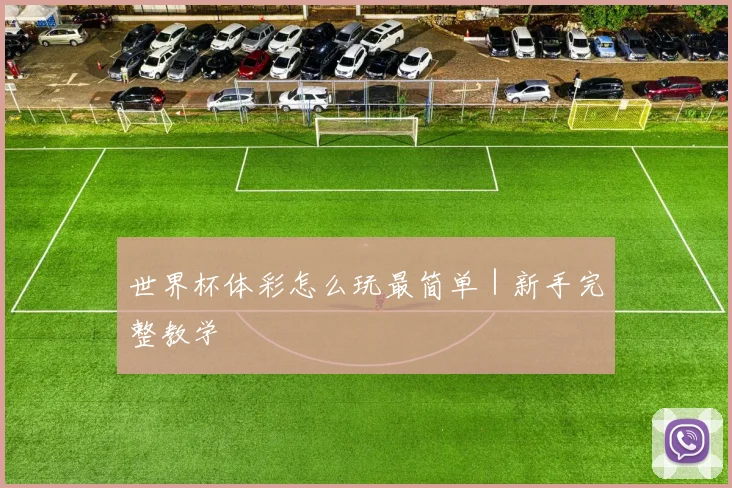 世界杯体彩怎么玩最简单｜新手完整教学
