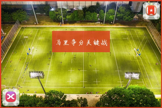 马里争分关键战