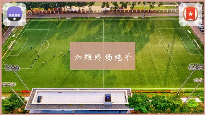 加维终场绝平