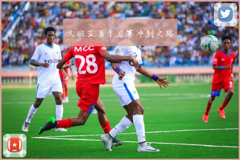 文班亚马季后赛冲刺之路