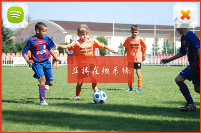 亚搏在线系统