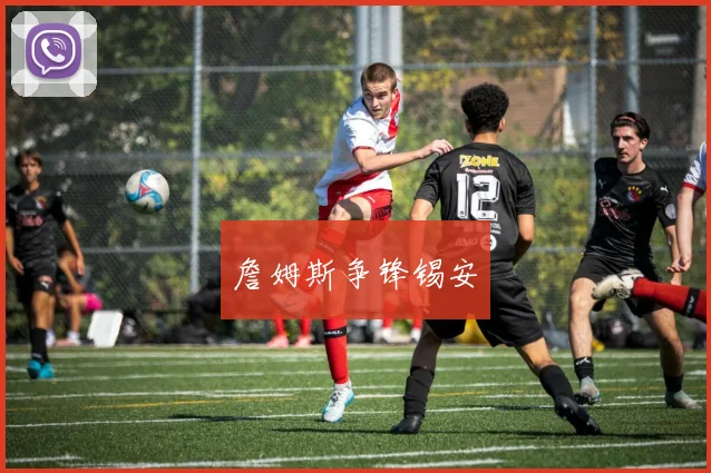 詹姆斯争锋锡安