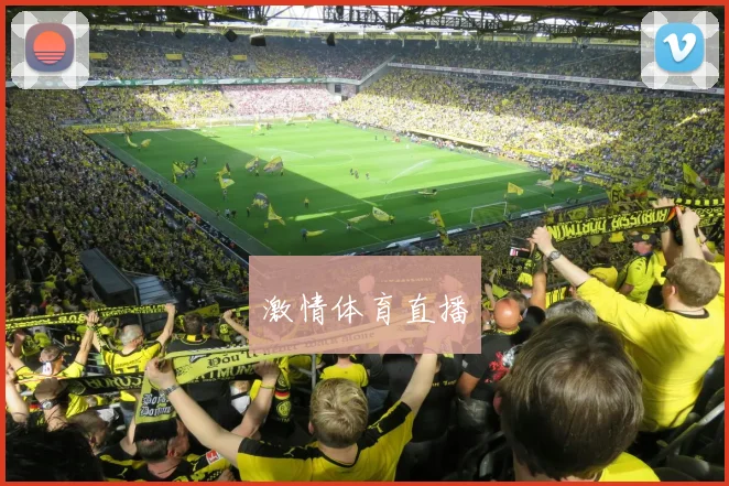 激情体育直播