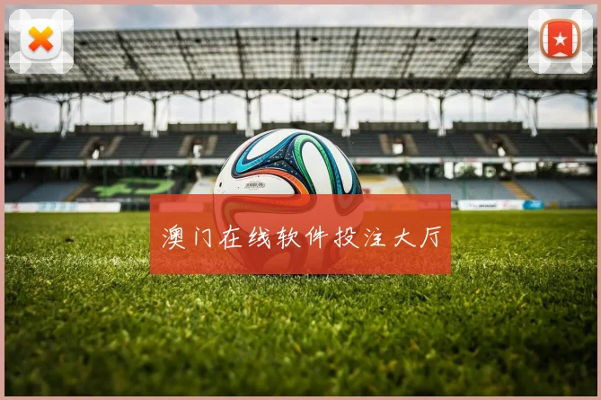 澳门在线软件投注大厅
