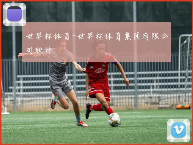 世界杯体育-世界杯体育集团有限公司软件