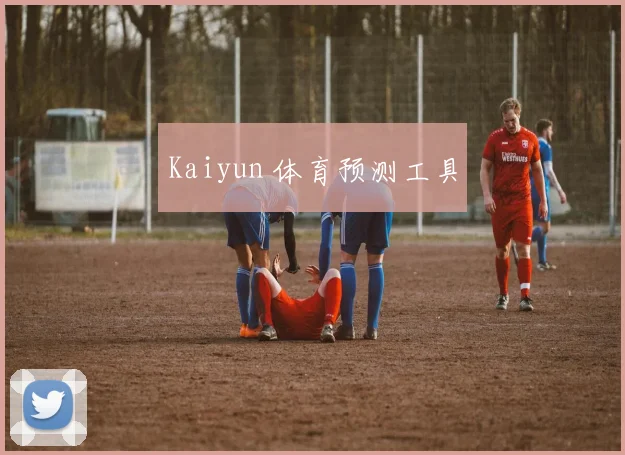 Kaiyun 体育预测工具