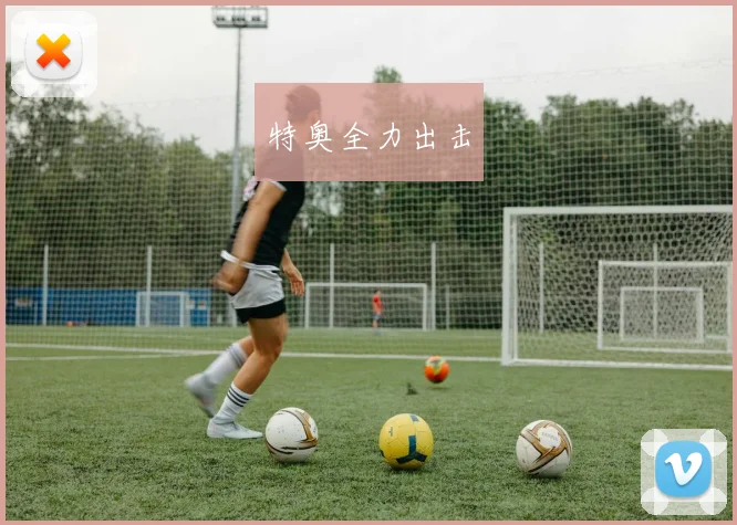 特奥全力出击
