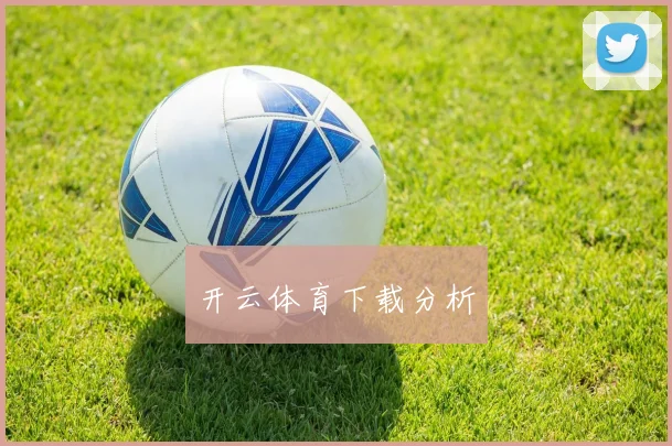 开云体育下载分析