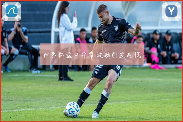 世界杯盘口异常波动引发恐慌