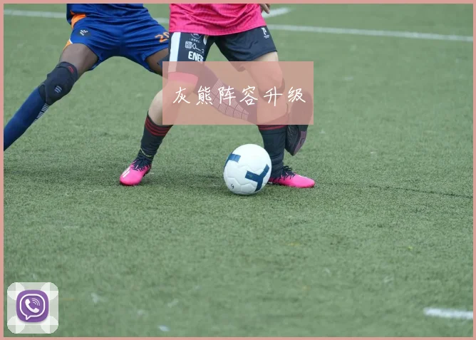 灰熊阵容升级