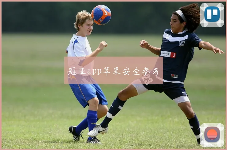 冠亚app苹果安全参考