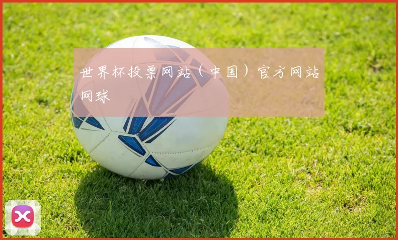 世界杯投票网站（中国）官方网站网球