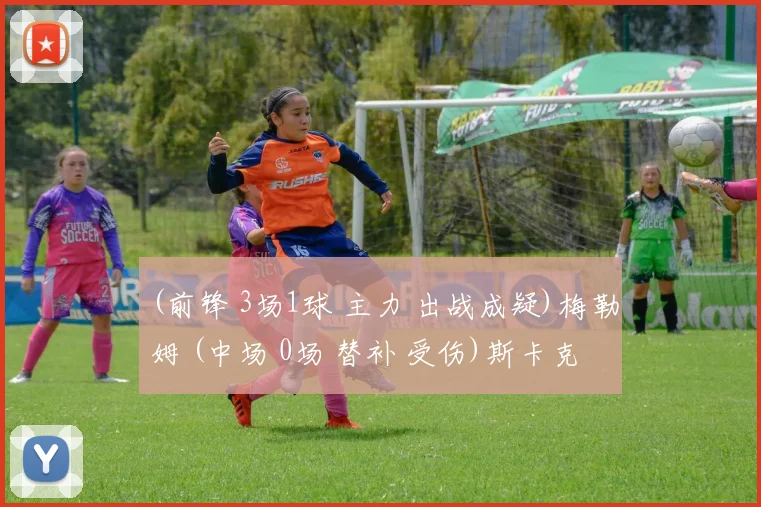 (前锋 3场1球 主力 出战成疑)梅勒姆 (中场 0场 替补 受伤)斯卡克 (中场 0场 替补 受伤)