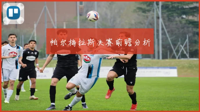 帕尔梅拉斯决赛前瞻分析