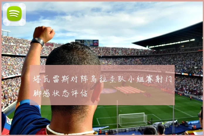 塔瓦雷斯对阵乌拉圭队小组赛射门脚感状态评估