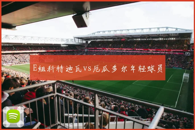 E组科特迪瓦vs厄瓜多尔年轻球员