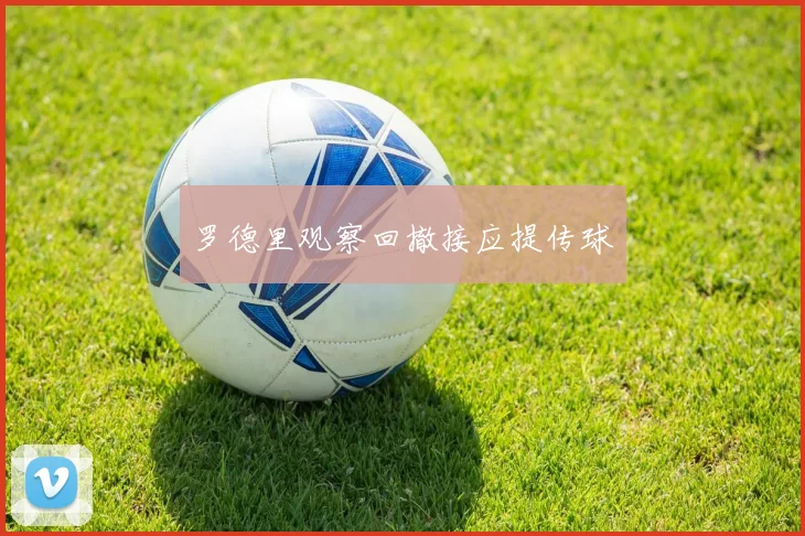 罗德里观察回撤接应提传球