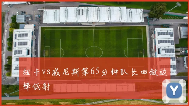 纽卡vs威尼斯第65分钟队长回做边锋低射