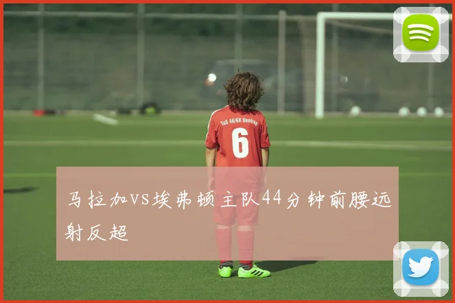 马拉加vs埃弗顿主队44分钟前腰远射反超