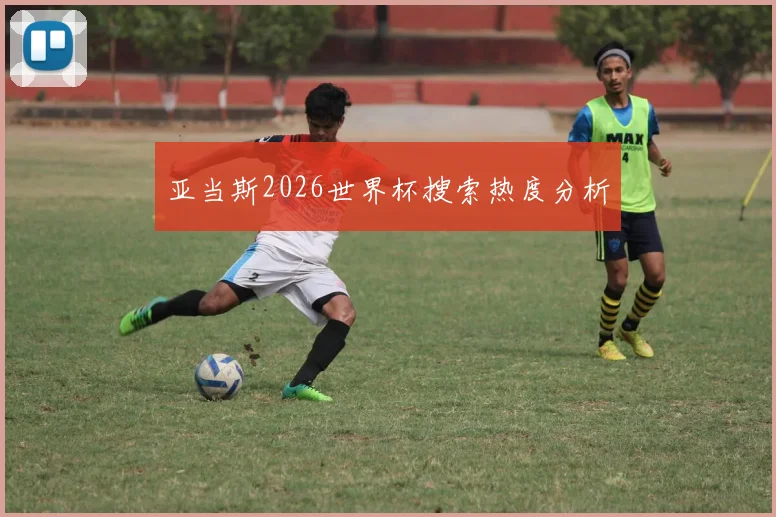 亚当斯2026世界杯搜索热度分析