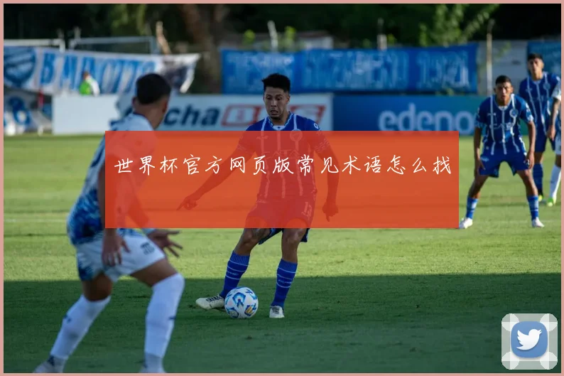 世界杯官方网页版常见术语怎么找