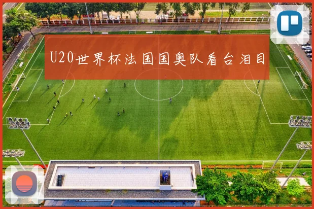 U20世界杯法国国奥队看台泪目